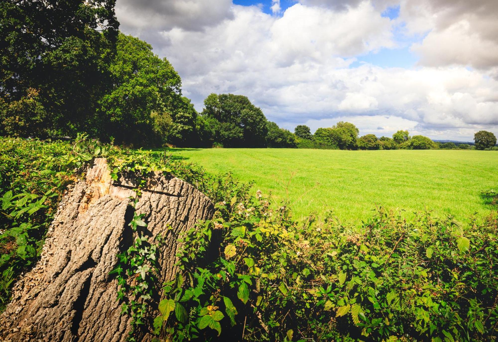 Oak Mead Villa Wrexham Kültér fotó